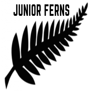 Junior Ferns